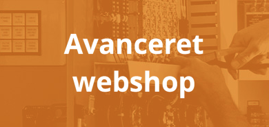 Avanceret webshop